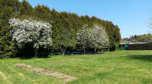 190505wiesmoor11
